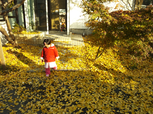 2014-12-5-ichou.jpg