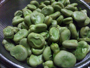 2015-6-4-soramame.jpg