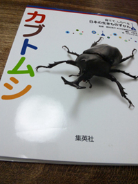 2015-9-3-kabuto1.jpg