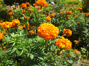 2015-9-3-keron4.jpg
